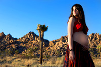 Desert Maternity Session